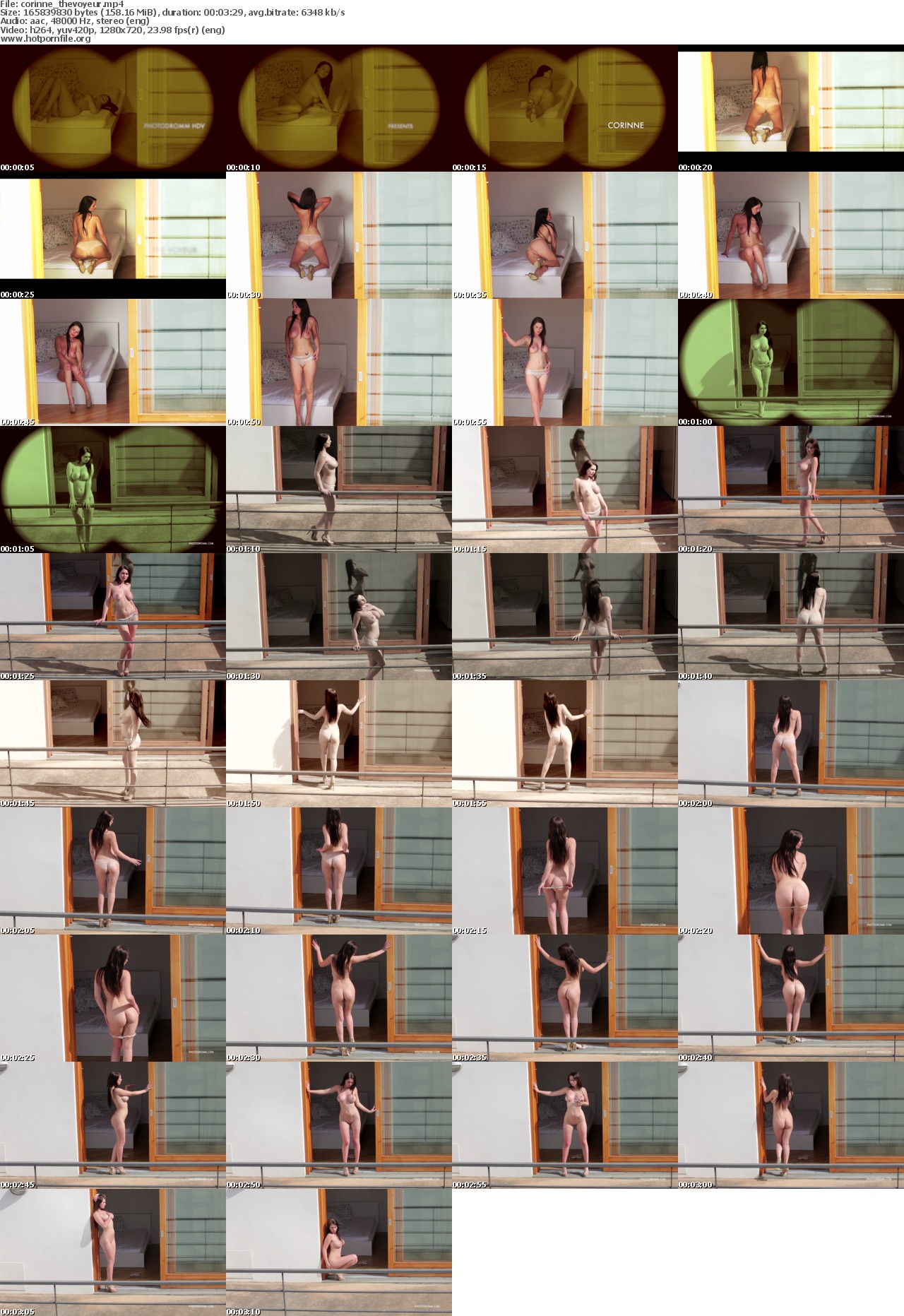 ._upload_PhotoDromm.13.10.13.Corinne.The.Voyeur.XXX.1080p.x264-GAGViD_screenshots_corinne_thevoyeur_s.jpg